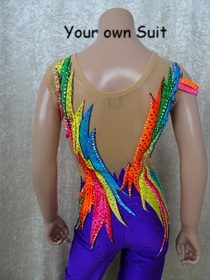 Achterkant in detail van een Paarse Unitard vol met kleuren, rgpakje